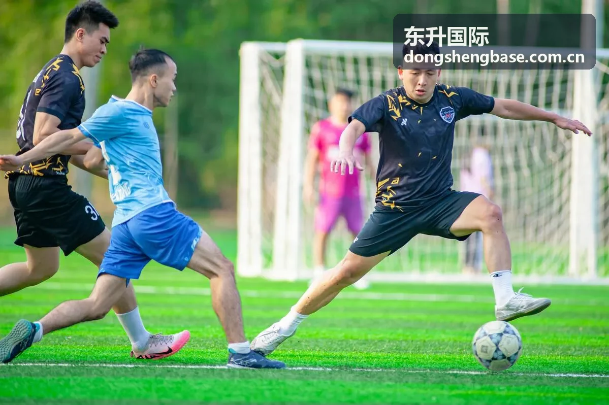 东升国际安全支持与问题反馈