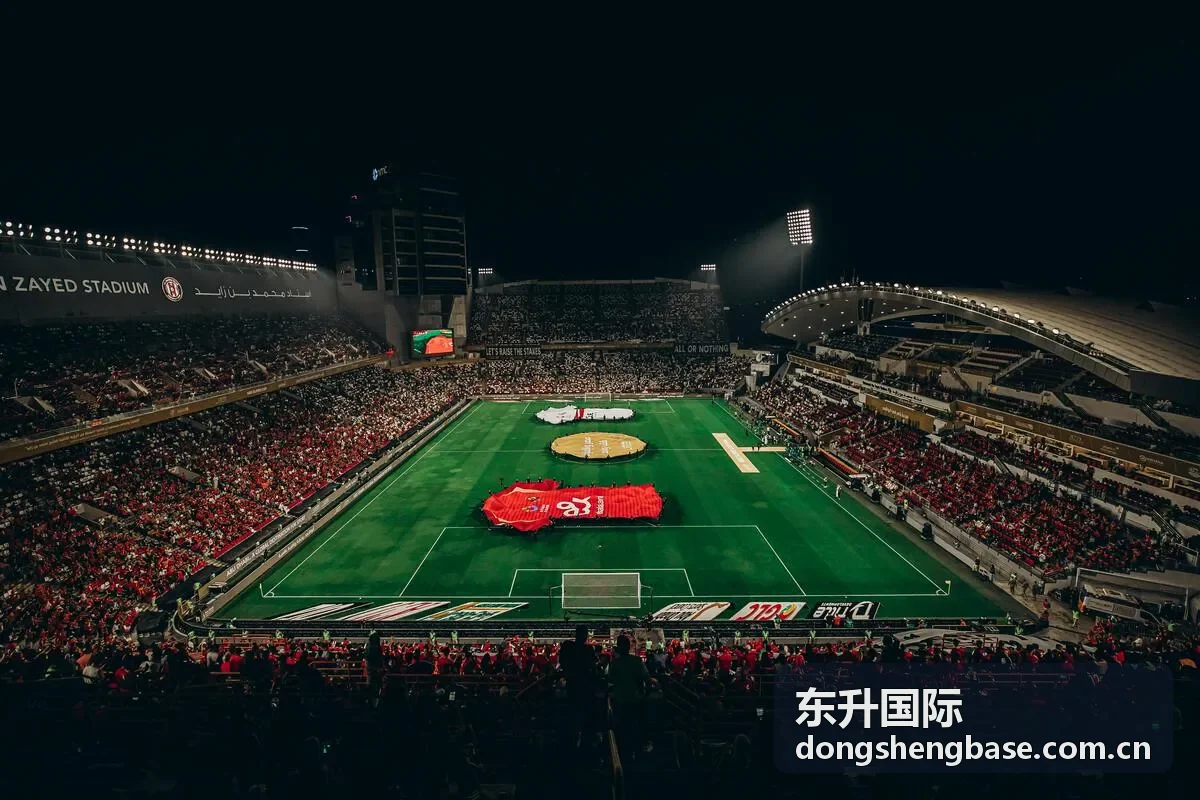 东升国际安全支持