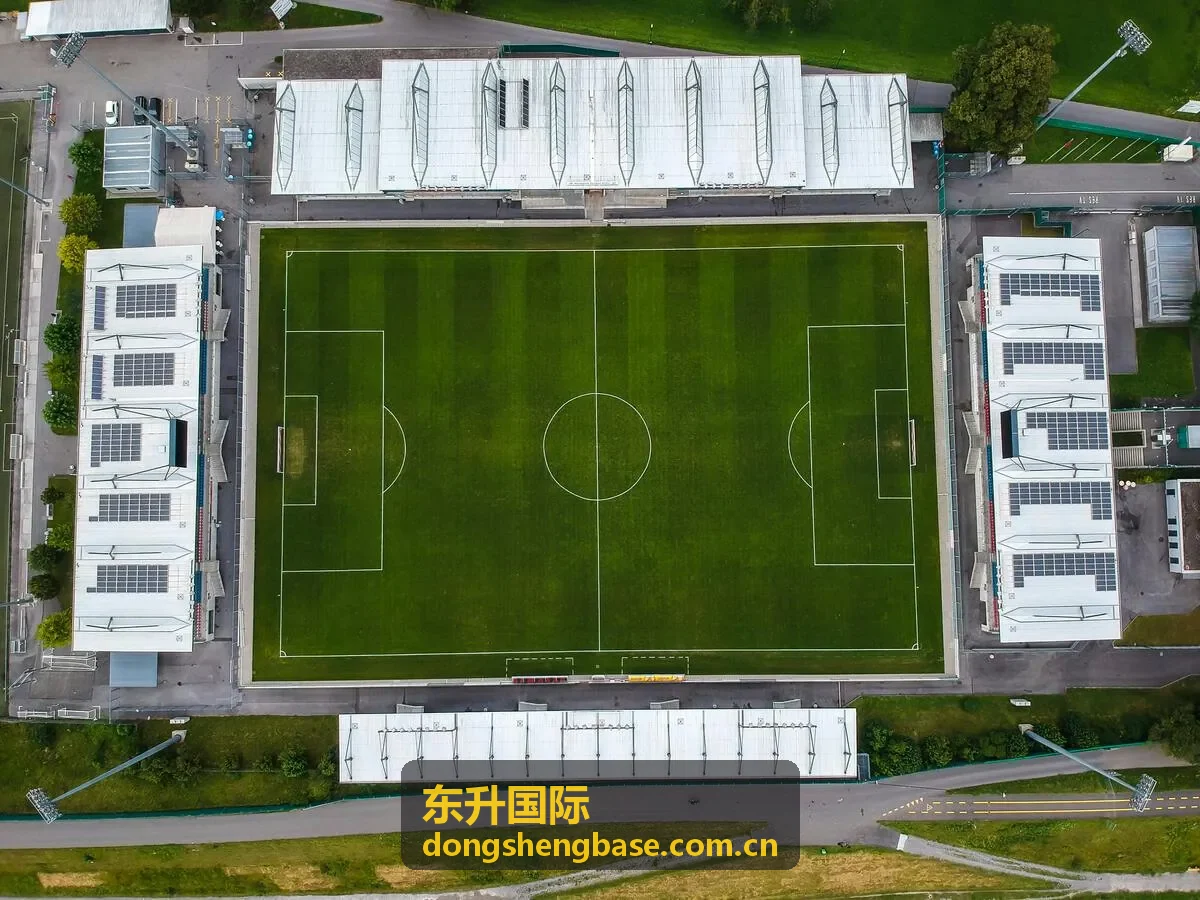 东升国际平台服务介绍